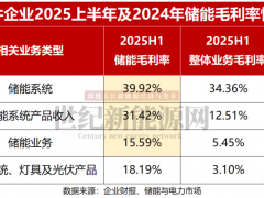 組件巨頭競(jìng)爭(zhēng)下半場(chǎng),勝負(fù)手是“含儲(chǔ)量”!