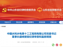 中國電建一子公司董事長被查!