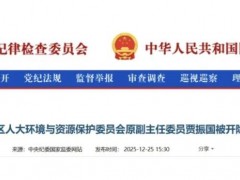 原內蒙古電力公司董事長賈振國被開除黨籍